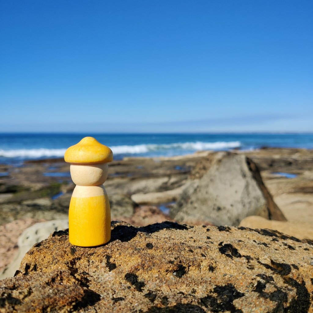 Grapat yellow nin on a rocky shoreline with waves in the distance 