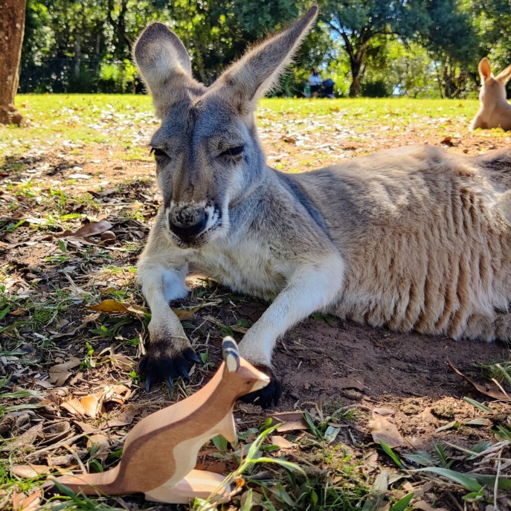 An Ostheimer wooden toy kangaroo with a real kangaroo in the background
